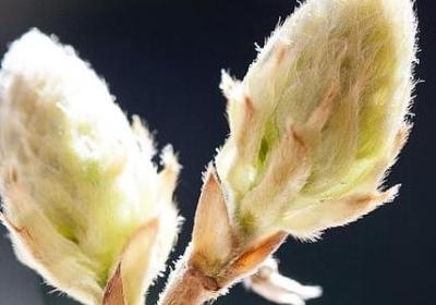 珍惜现在的词语(优选50句)
