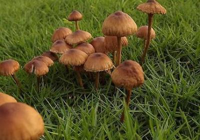 表扬男生的词语(推荐60句)