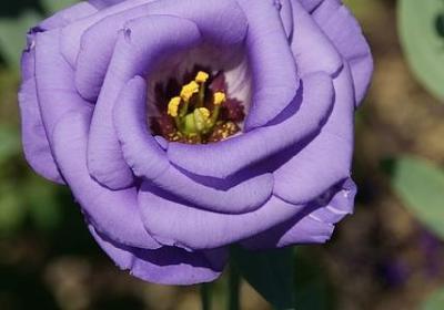 时间过的很快的词语(40句)