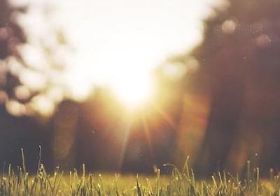 斜着眼看是什么词语(精选40句)