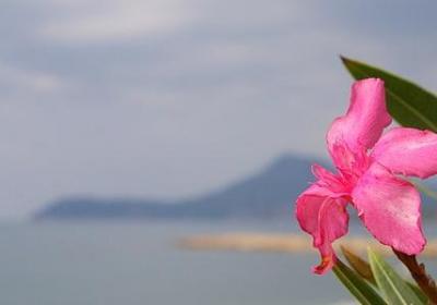 斜组什么词语(共60句)