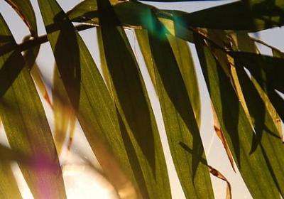 时间词语有哪些(必备17句)