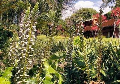 淅沥沥照样子写词语(汇总50句)