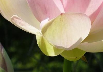 撒能组什么词语(热门52句)