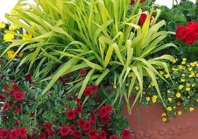 文艺的词语两个字(汇总40句)