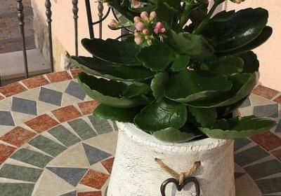 描写春雨动作的词语有(共46句)