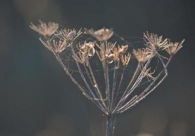 是组词有哪些词语(热门71句)