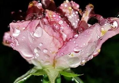 每个季节的雨的词语(实用25句)