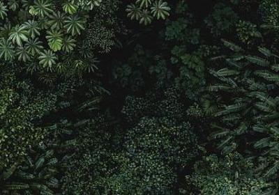 海的词语大全(通用74句)