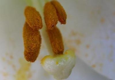照样子写词语枝繁叶茂(热门73句)
