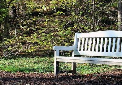 描写景物词语(合集15句)