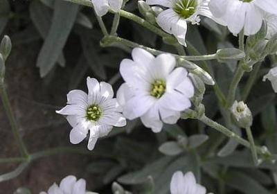 无可估量理解词语(必备70句)