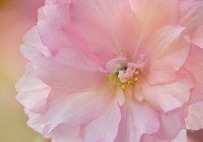 描述景物的词语(共50句)