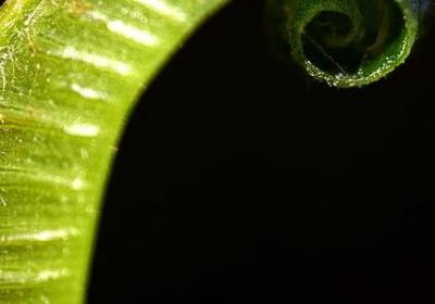 支组词语有哪些词语(必备20句)