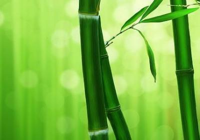 积极主动的词语(精选61句)