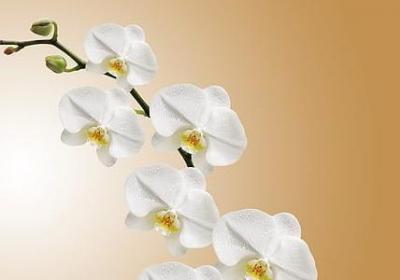 擂多音字组词语(汇总70句)