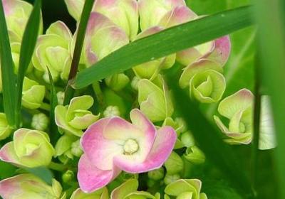 搂可以组什么词语(合集41句)