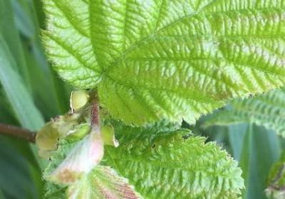 日头是词语吗(合集6句)