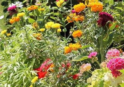 描写读书认真的词语(推荐60句)