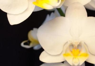 描写累的词语(必备60句)