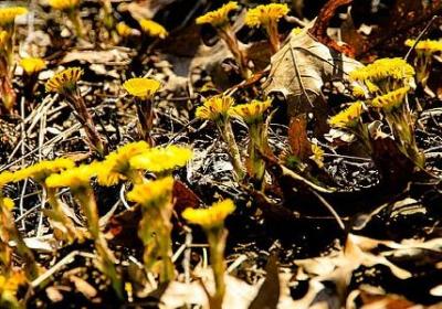 数字词语大全 成语(实用40句)