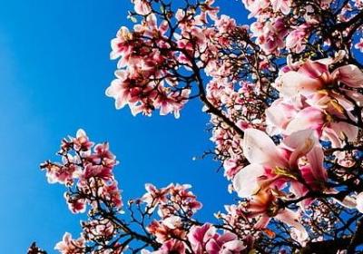 旁字加偏旁组词语(精选20句)