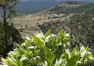 摊的四字词语(通用50句)