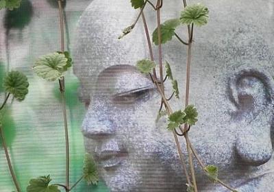 翅组词语有哪些(实用41句)
