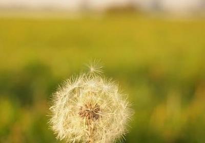 形容一天很充实的句子(推荐50句)