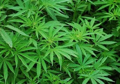 看海的句子(推荐40句)