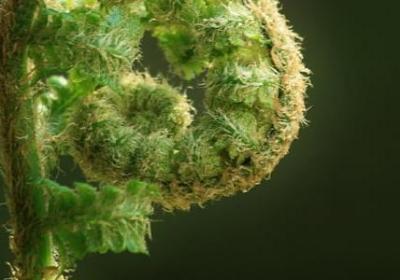 简单生活简单爱的句子(共20句)