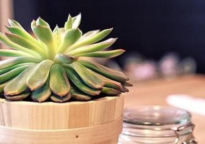 积极的生活态度的美丽句子(10句)