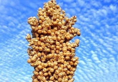管理情绪的句子(热门50句)