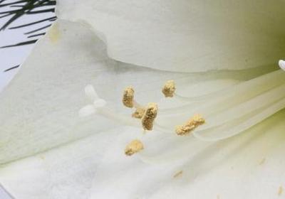 矛盾的心情的句子(优选50句)