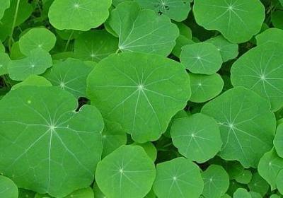 祝福自己的句子(60句)