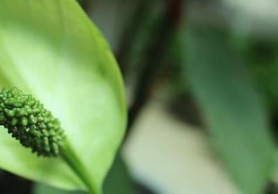 睡的香的句子(实用50句)