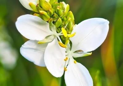 祝福老公生日快乐的句子(优选59句)