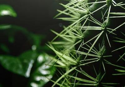 祝福99的句子(汇总49句)