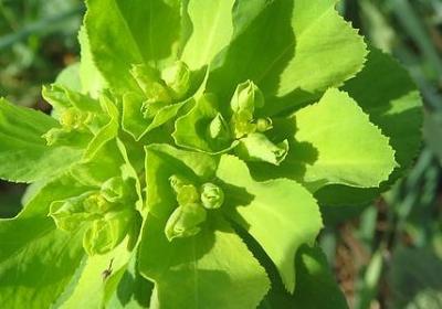痛而不言的句子(实用90句)