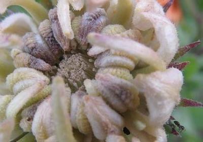 相爱的人不能在一起的句子(优选40句)
