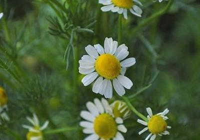缩写句子的例子(32句)