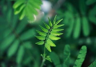 自己爱好的句子(热门20句)