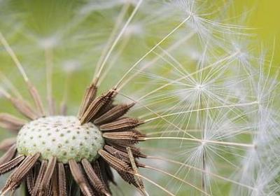 自己错了还怪别人的句子(推荐60句)