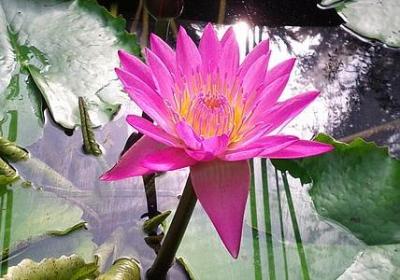 细致描写的句子(推荐5句)
