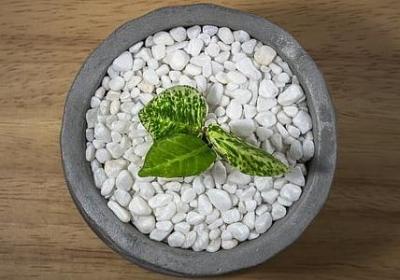 茶的境界句子(通用40句)