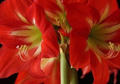 节俭的句子(热门10句)