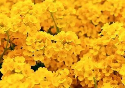 缅怀亲人的句子短而精(共26句)