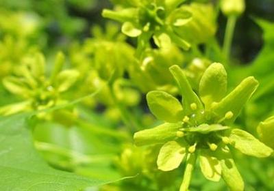 美好时光的句子(实用10句)