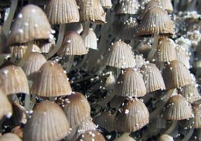 老公晚安的句子(必备68句)