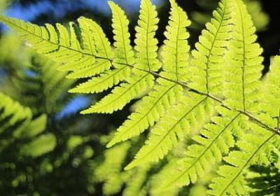 表示时光飞逝的句子(共40句)